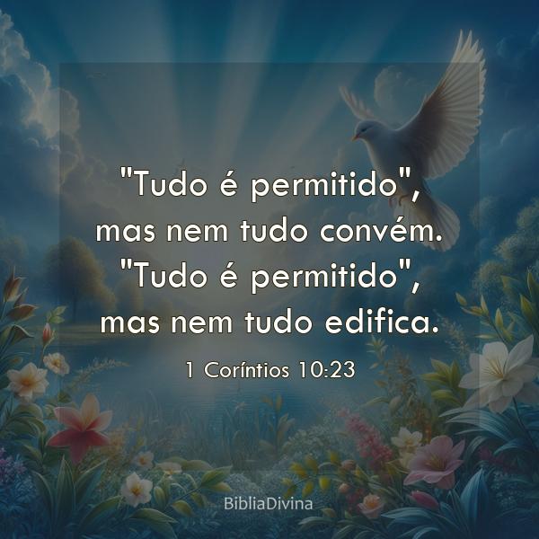 1 Coríntios 10:23