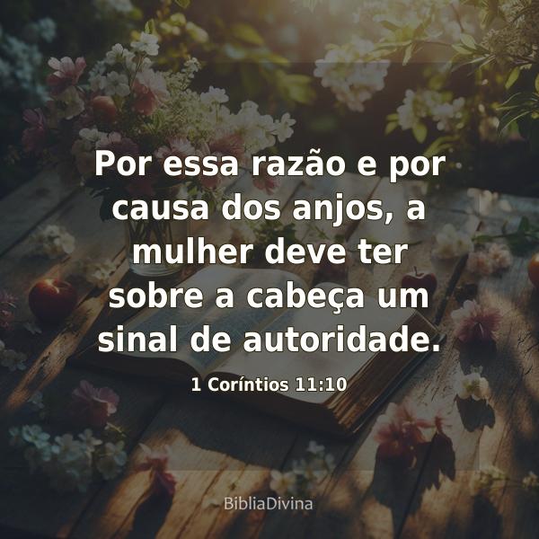 1 Coríntios 11:10