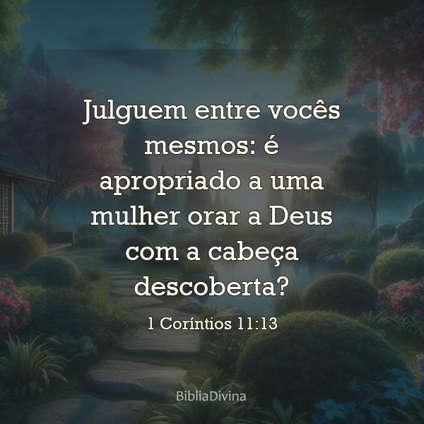 1 Coríntios 11:13