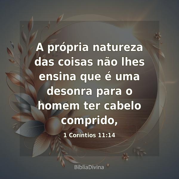 1 Coríntios 11:14