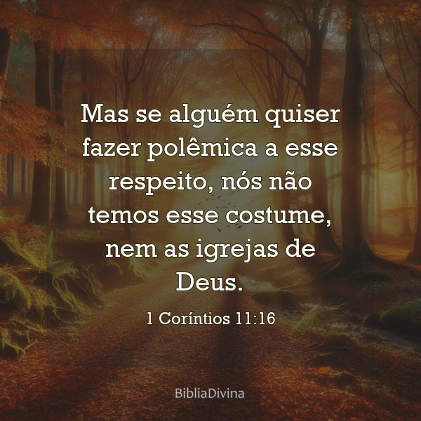 1 Coríntios 11:16