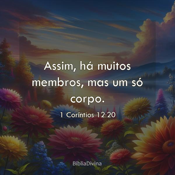 1 Coríntios 12:20