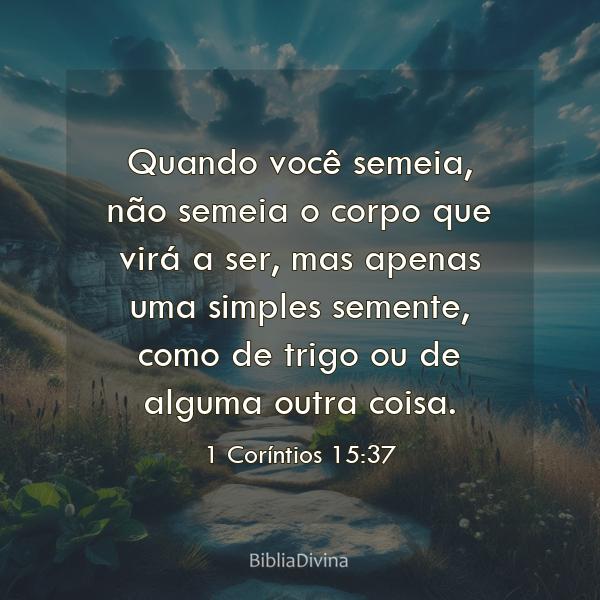 1 Coríntios 15:37