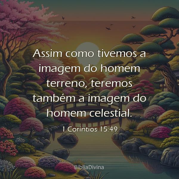 1 Coríntios 15:49