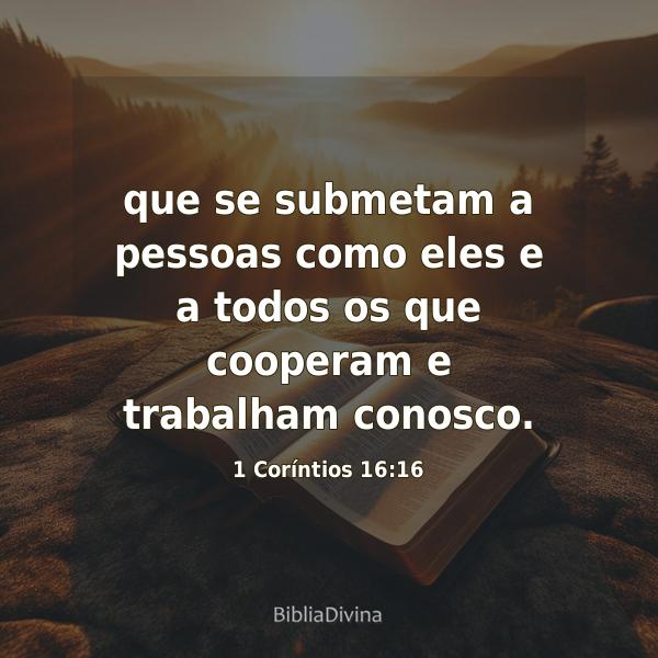 1 Coríntios 16:16