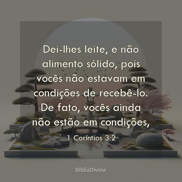 1 Coríntios 3:2