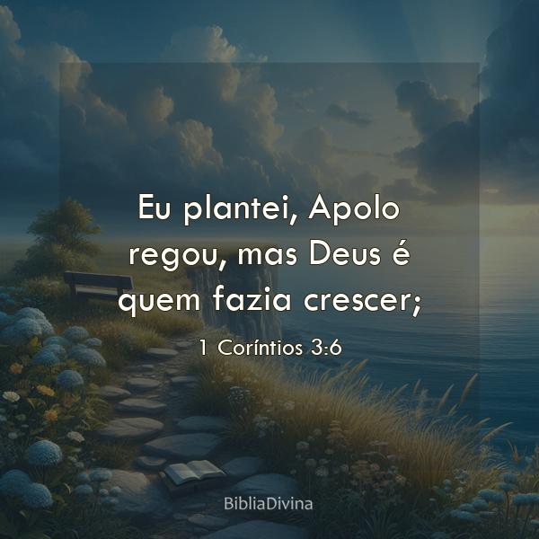 1 Coríntios 3:6