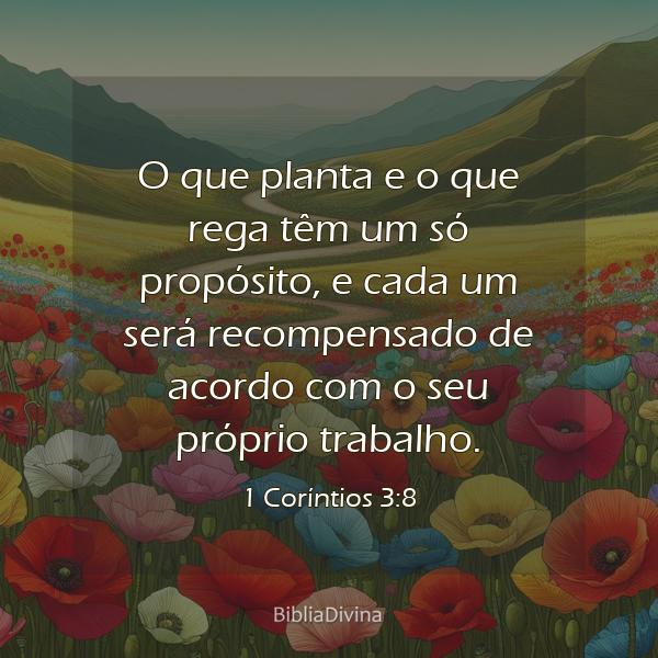 1 Coríntios 3:8