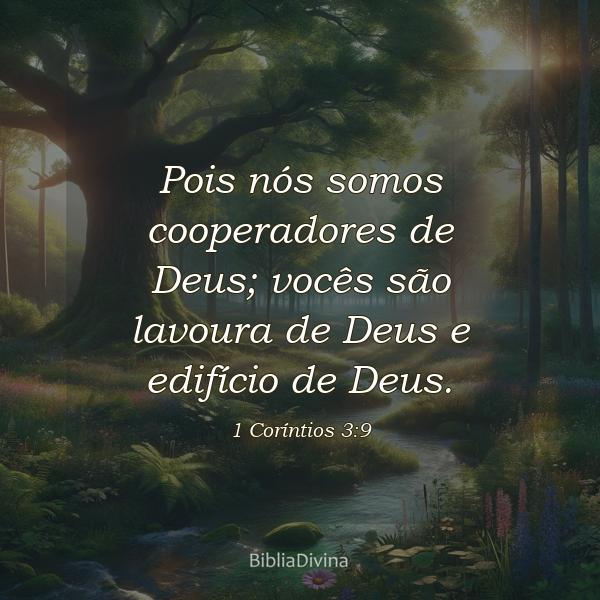 1 Coríntios 3:9