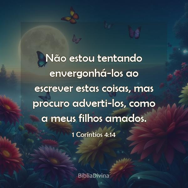 1 Coríntios 4:14