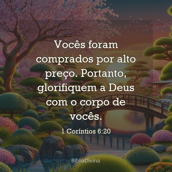 1 Coríntios 6:20