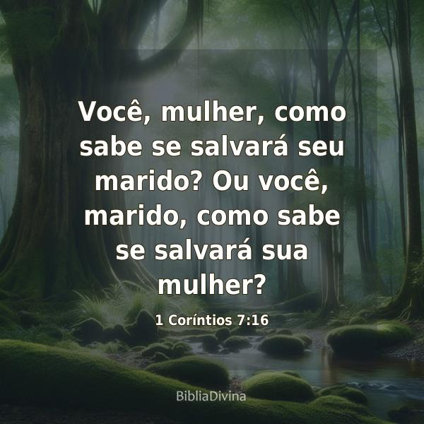 1 Coríntios 7:16