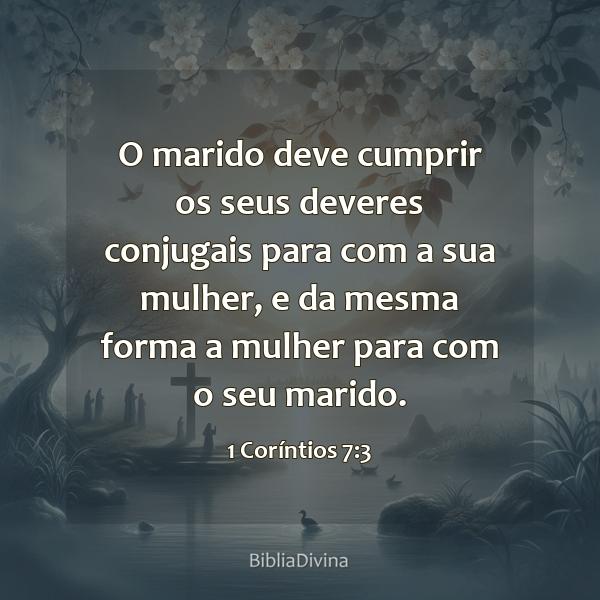 1 Coríntios 7:3