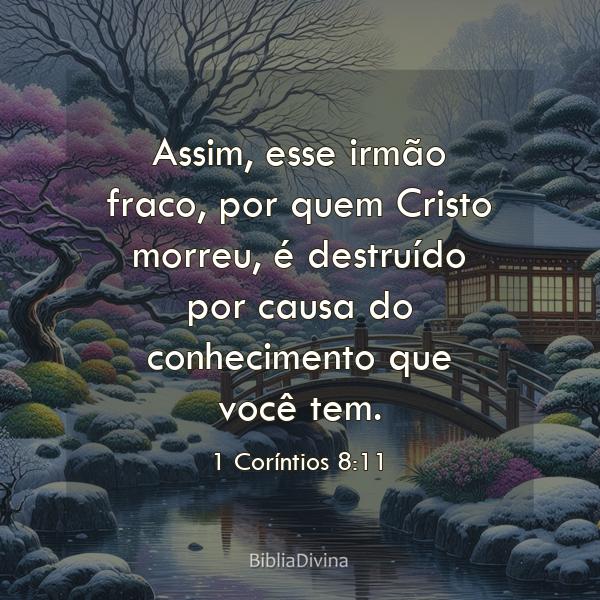 1 Coríntios 8:11