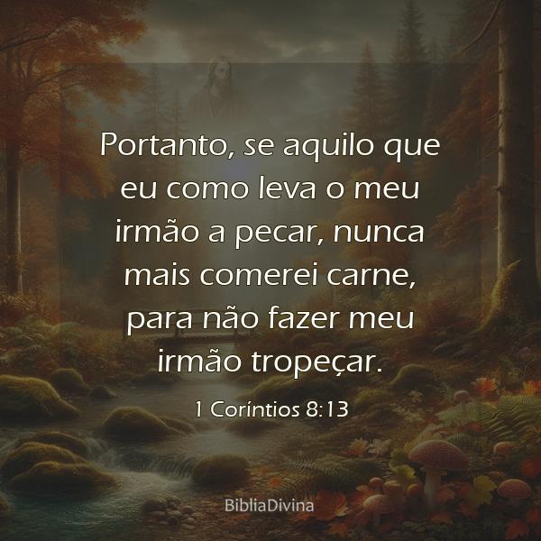 1 Coríntios 8:13