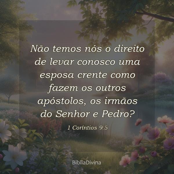 1 Coríntios 9:5