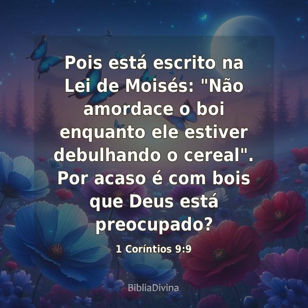 1 Coríntios 9:9