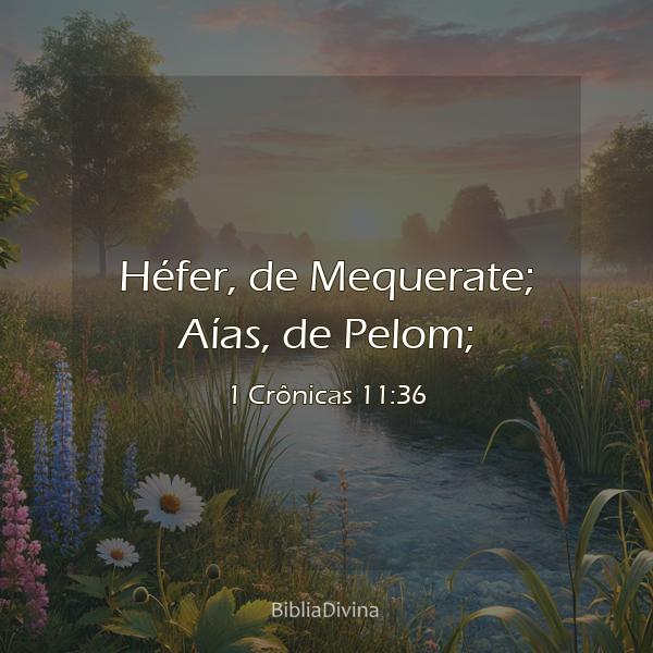 1 Crônicas 11:36