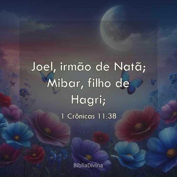 1 Crônicas 11:38