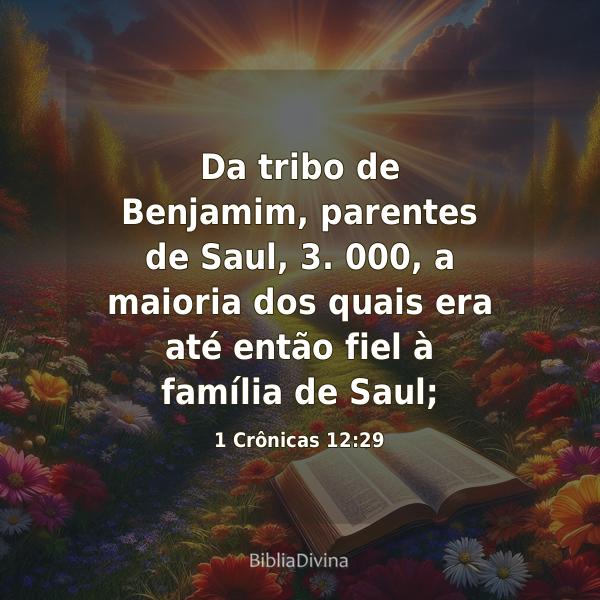 1 Crônicas 12:29