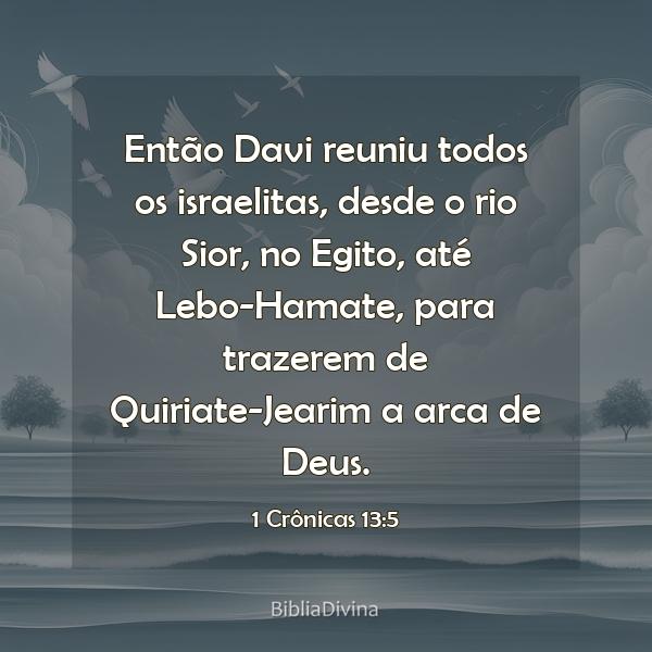 1 Crônicas 13:5