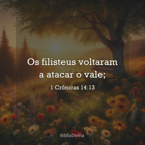 1 Crônicas 14:13