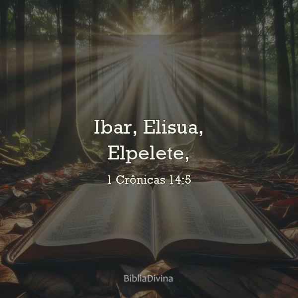 1 Crônicas 14:5