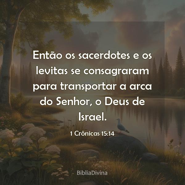 1 Crônicas 15:14