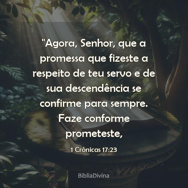 1 Crônicas 17:23