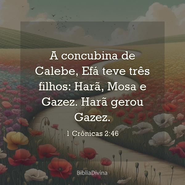 1 Crônicas 2:46