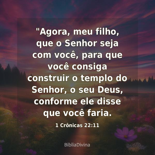 1 Crônicas 22:11