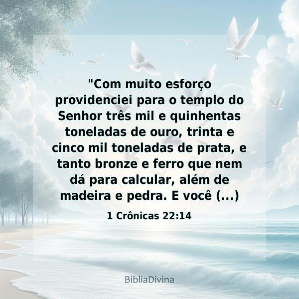 1 Crônicas 22:14