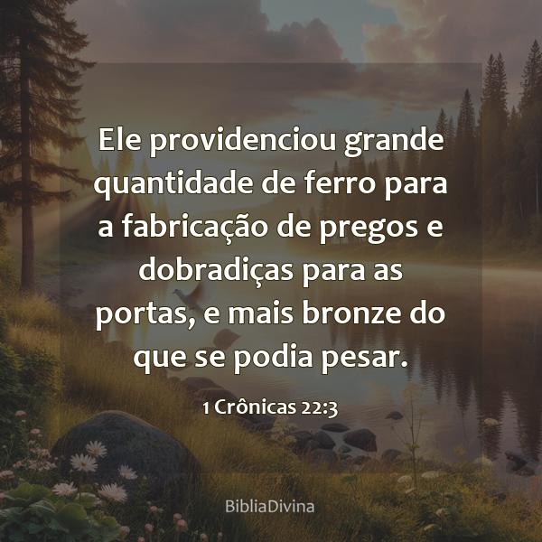 1 Crônicas 22:3