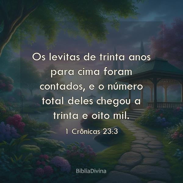 1 Crônicas 23:3