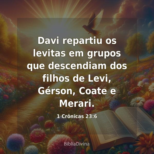 1 Crônicas 23:6