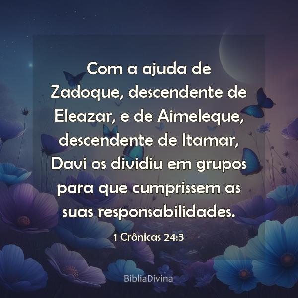 1 Crônicas 24:3