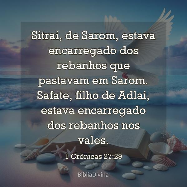 1 Crônicas 27:29