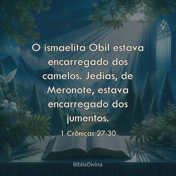 1 Crônicas 27:30