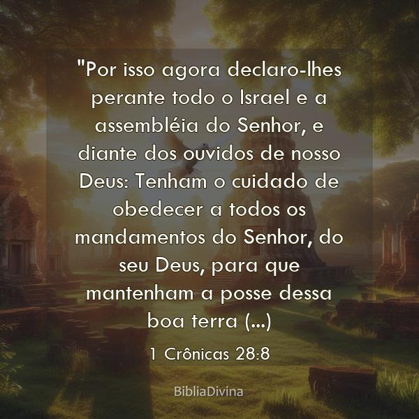 1 Crônicas 28:8