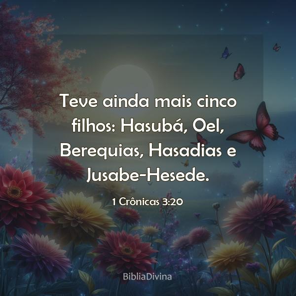 1 Crônicas 3:20