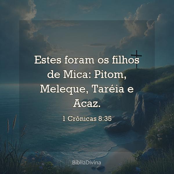 1 Crônicas 8:35