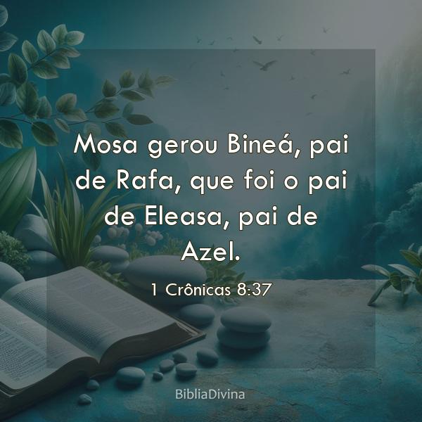 1 Crônicas 8:37