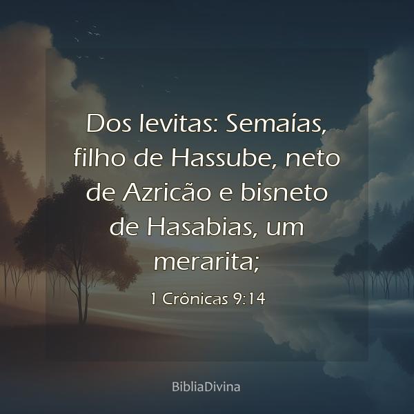 1 Crônicas 9:14