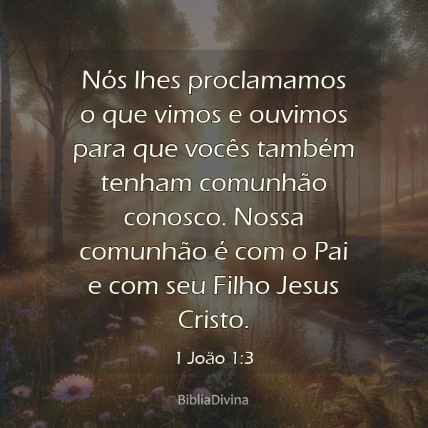 1 João 1:3