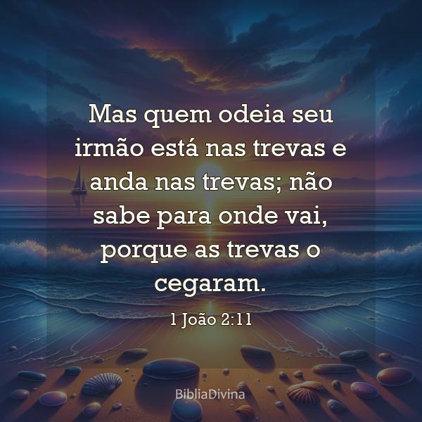 1 João 2:11