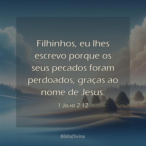 1 João 2:12