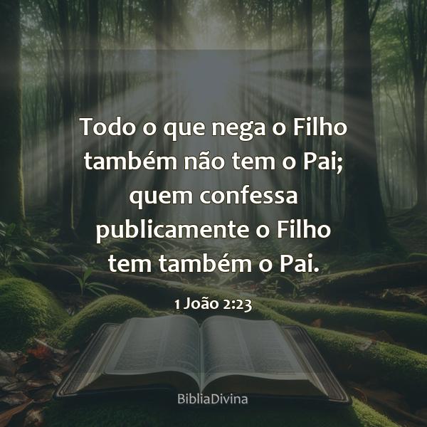 1 João 2:23