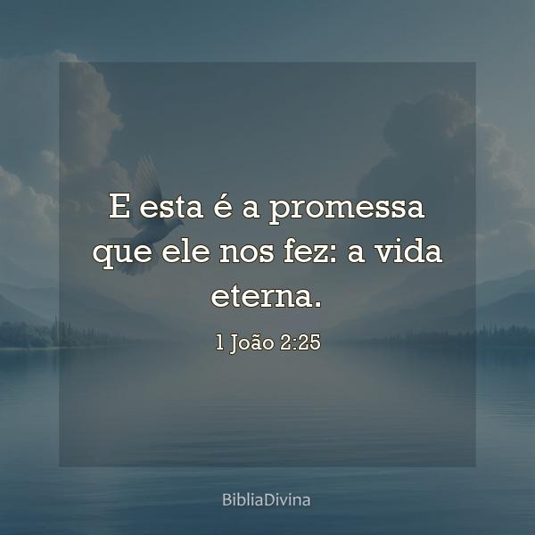 1 João 2:25