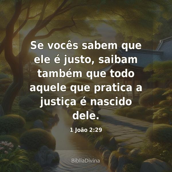 1 João 2:29