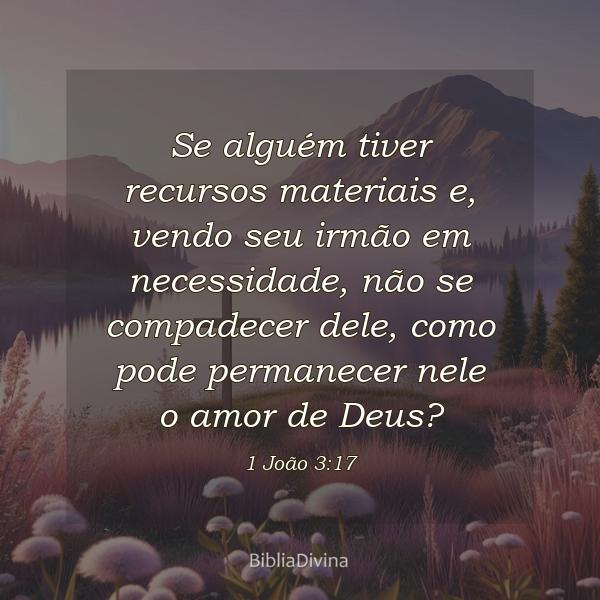 1 João 3:17